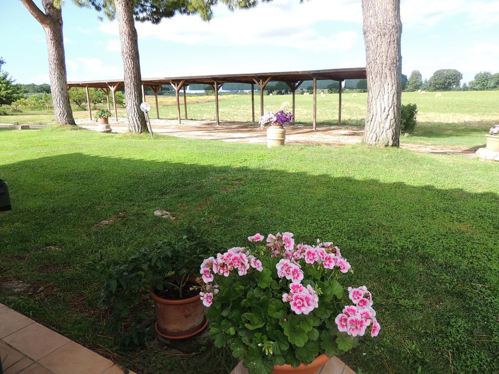 Agriturismo Valle Martina Saturnia Kültér fotó
